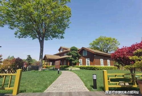 天中武哥爆料最新消息,最新热点事件内幕大揭秘!